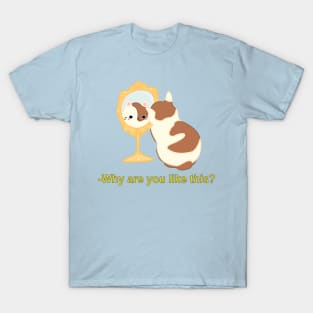 Why are you like this? T-Shirt